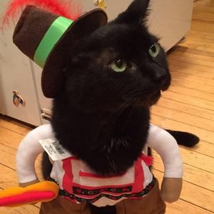 Meet your Posher, Christi